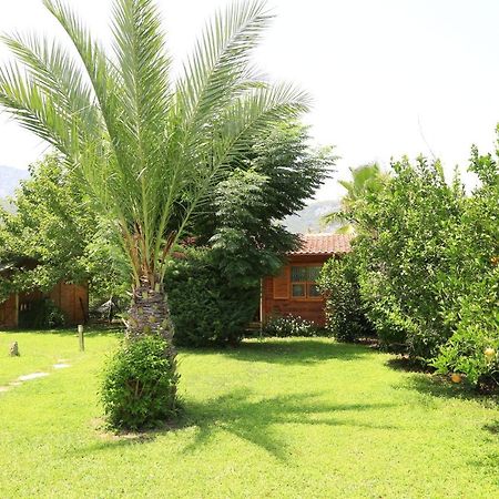 Bed and Breakfast Tunays Pansiyon Çıralı Exteriér fotografie