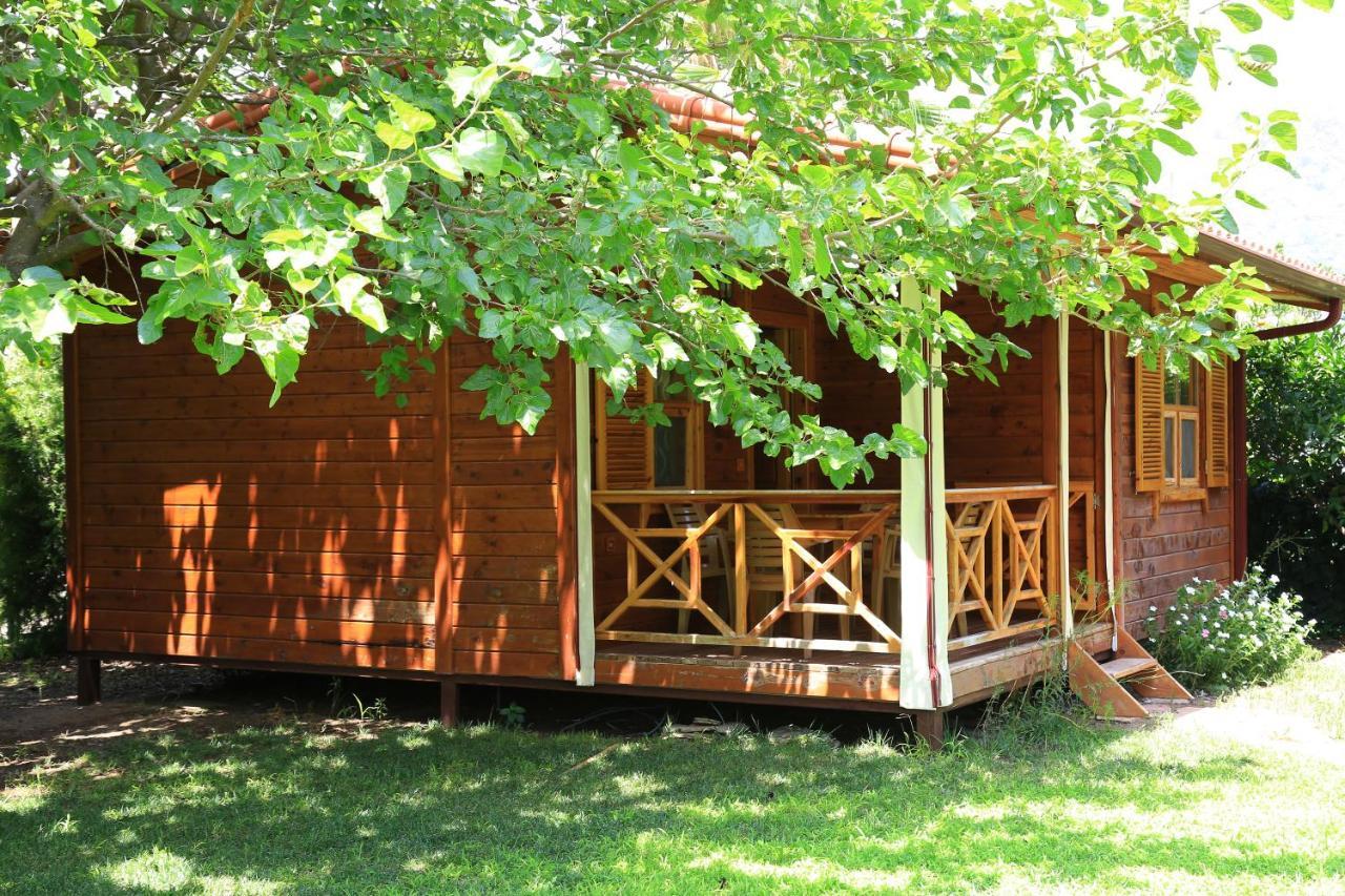 Bed and Breakfast Tunays Pansiyon Çıralı Pokoj fotografie