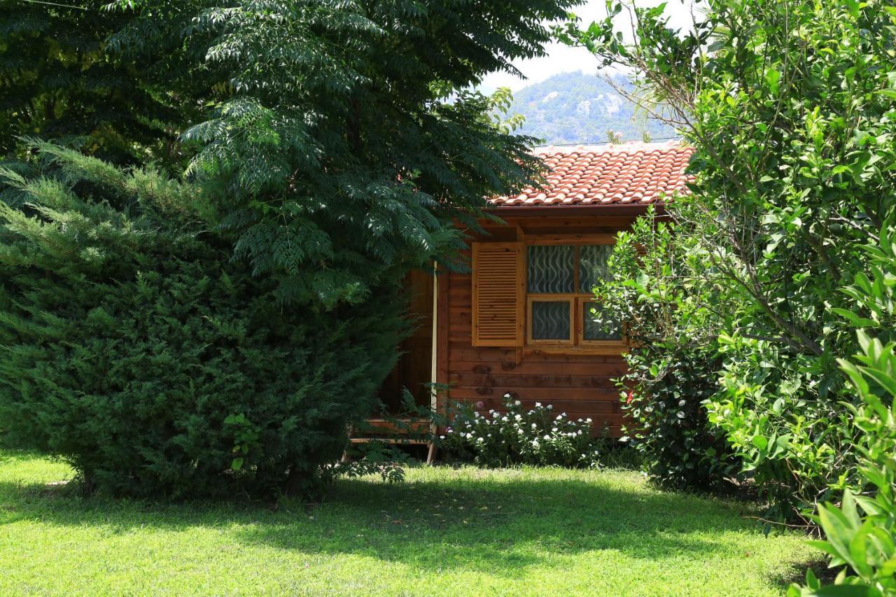 Bed and Breakfast Tunays Pansiyon Çıralı Pokoj fotografie