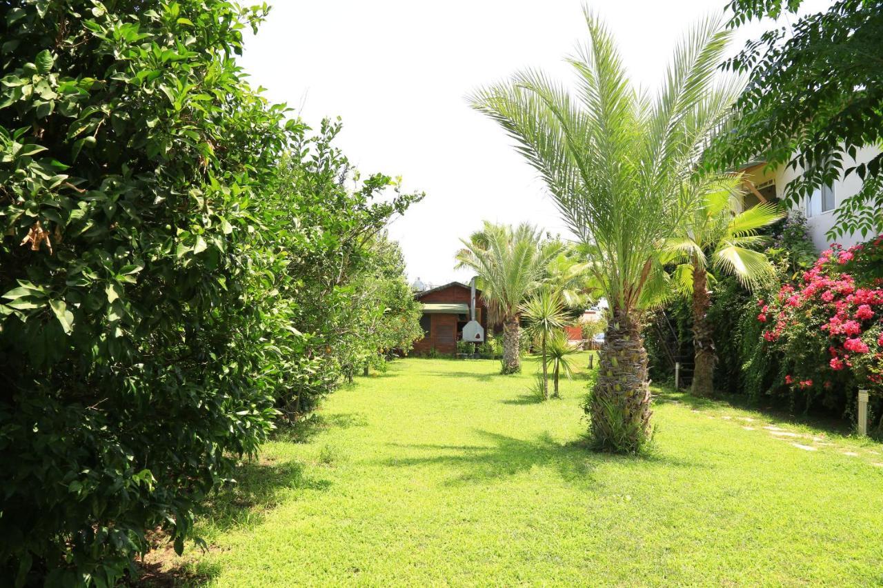 Bed and Breakfast Tunays Pansiyon Çıralı Pokoj fotografie