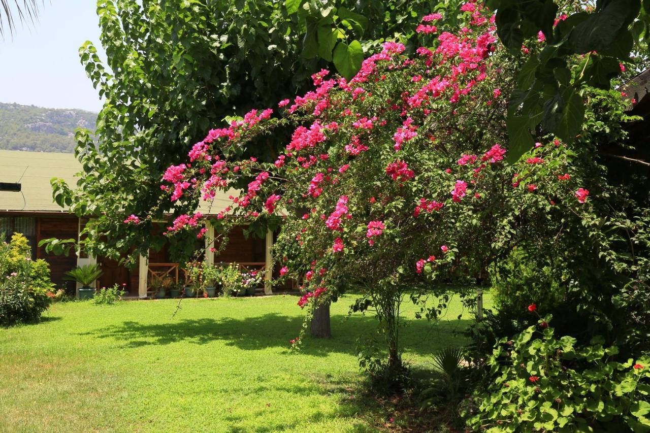 Bed and Breakfast Tunays Pansiyon Çıralı Exteriér fotografie